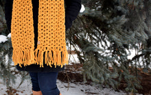 Load image into Gallery viewer, Anneliese Scarf Crochet PATTERN
