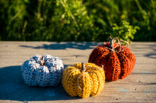 Load image into Gallery viewer, Pumpkin Decor: CROCHET PATTERN