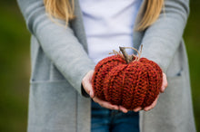 Load image into Gallery viewer, Pumpkin Decor: CROCHET PATTERN