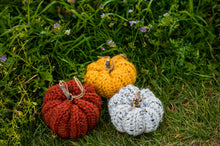 Load image into Gallery viewer, Pumpkin Decor: CROCHET PATTERN