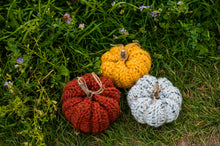 Load image into Gallery viewer, Crocheted Pumpkin Decor